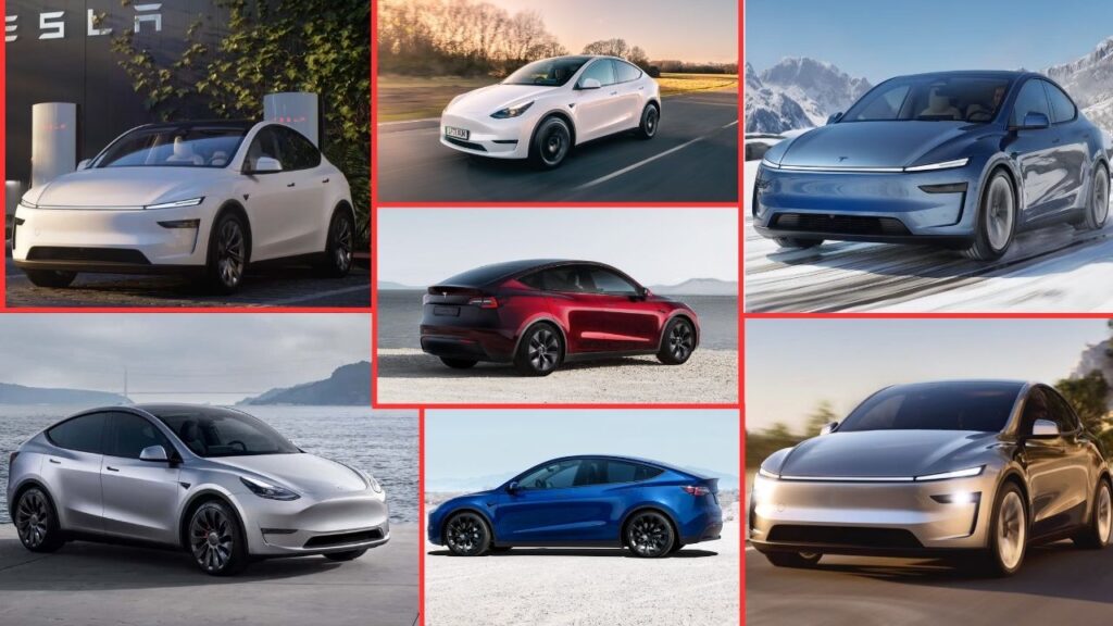 Tesla Model Y in India