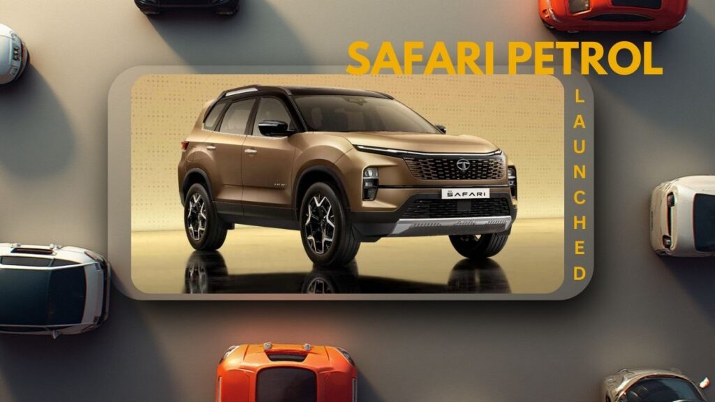 Safari petrol