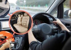 Best Car Accessories for Thar Roxx